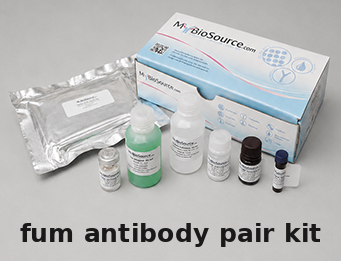 Mouse FUM Antibody Pair Kit – Cat# MBS2101071