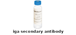 Goat Anti-IgA Polyclonal Secondary Antibody – Cat# MBS3900683