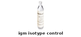 Mouse Anti-IgM Isotype Control – Cat# MBS8559157