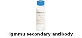 Goat Anti-IgMmu Polyclonal Secondary Antibody – Cat# MBS9458215