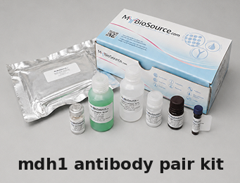 Human MDH1 Antibody Pair Kit – Cat# MBS2103883