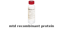 Apium Graveolens MTD Recombinant Protein – Cat# MBS1350497