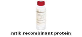 Rhodobacter Sphaeroides mtlK Recombinant Protein – Cat# MBS1148991