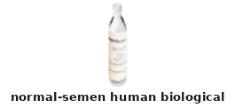 Normal Semen Human Biological – Cat# MBS173588