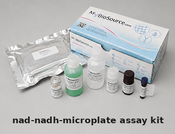 General NAD Assay Kit – Cat# MBS4504359