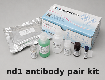 Mouse ND1 Antibody Pair Kit – Cat# MBS2104554