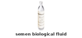 Semen Biological Fluid – Cat# MBS170569