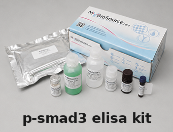 Human p-SMAD3 ELISA Kit – Cat# MBS1611146