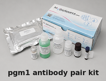Human PGM1 Antibody Pair Kit – Cat# MBS2101986