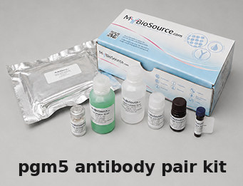 Human PGM5 Antibody Pair Kit – Cat# MBS2103437