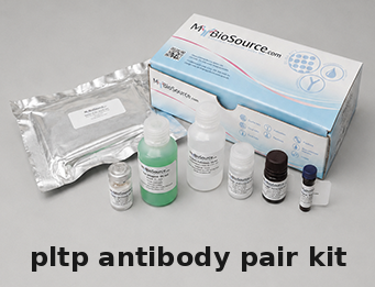 Rat PLTP Antibody Pair Kit – Cat# MBS2101990
