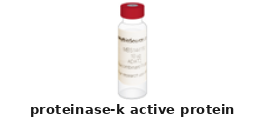 Active Protein – Cat# MBS9144221