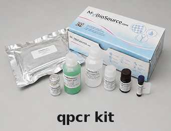 qPCR Kit – Cat# MBS413128