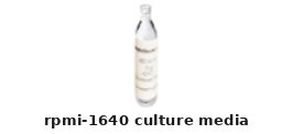 RPMI-1640 Culture Media – Cat# MBS2567485