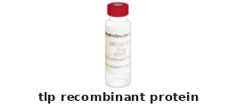 Bacillus Halodurans tlp Recombinant Protein – Cat# MBS1298322