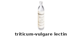 Lectin – Cat# MBS656402