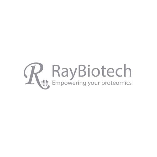 Anti-Human IgG (Fc) Antibody, PE