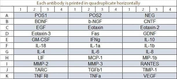 Human Neuro Discovery Array Q1