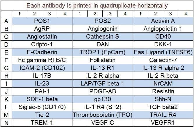 Human Cytokine Array Q4