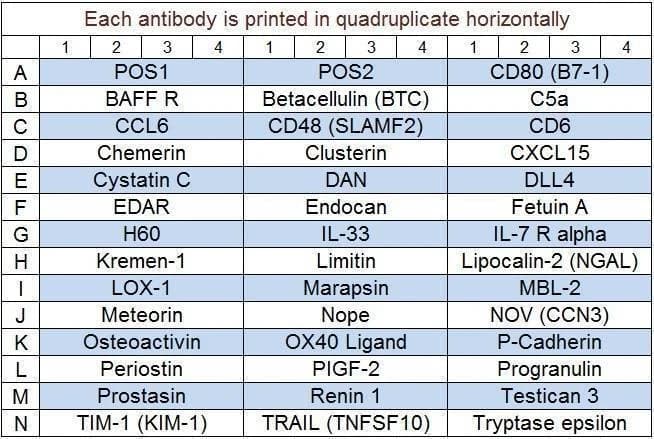 Mouse Cytokine Array Q7