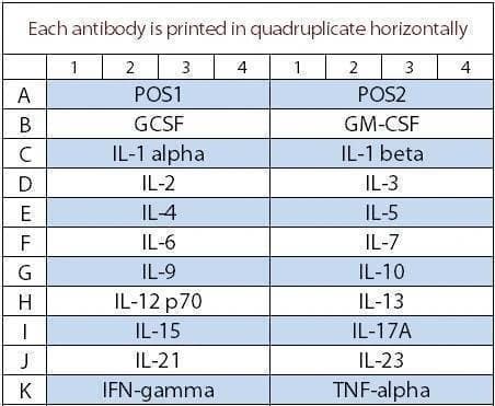 Mouse Interleukin Array Q1