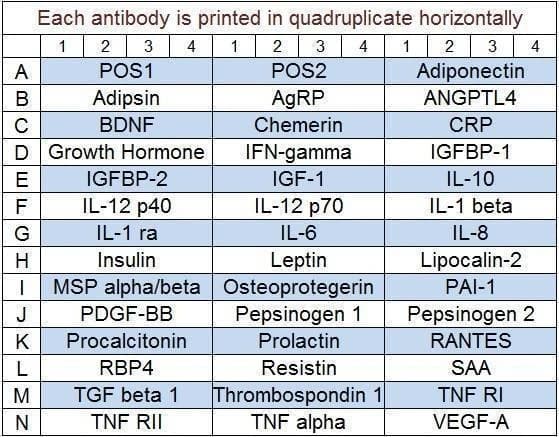 Human Obesity Array Q3