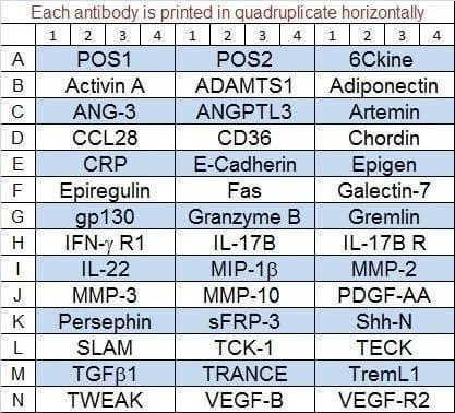 Mouse Cytokine Array Q8