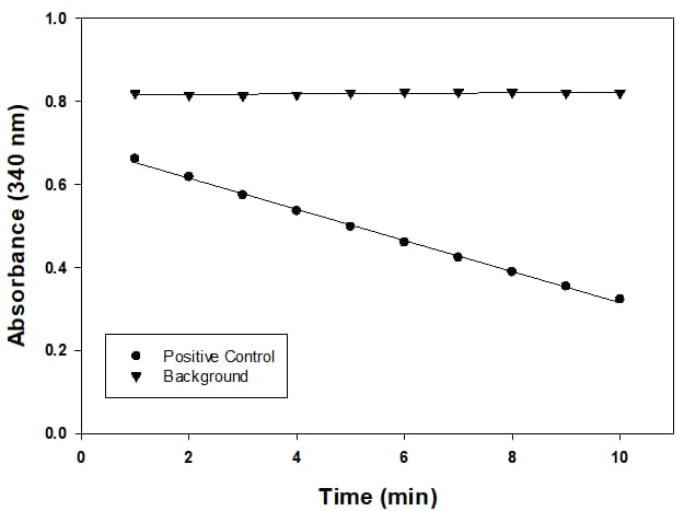 Glutathione Reductase (GR) Activity Assay Kit (Colorimetric)