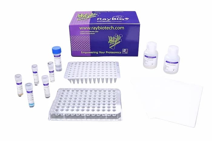 NexaTag® Human BDNF qIPCR ELISA Kit
