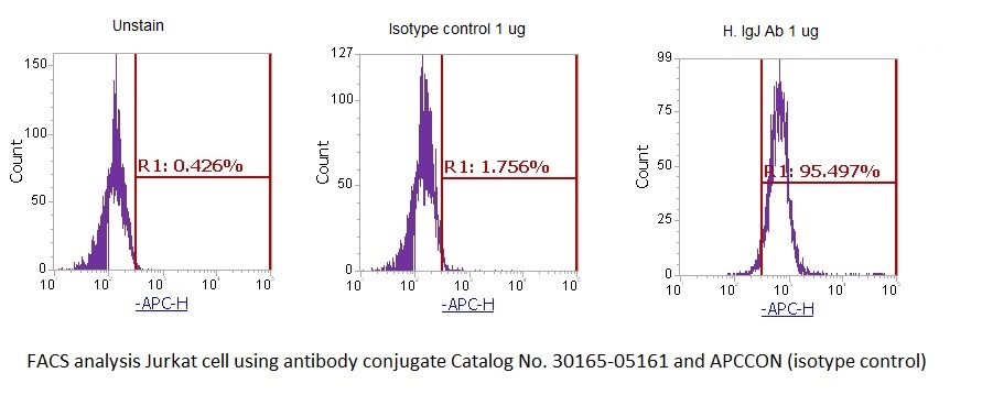 Human Immunoglobulin J Chain (IGJ) AssayLite Antibody (APC Conjugate)