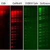 GelRed® Nucleic Acid Gel Stain<svg class="svgicon svg-earthfriendly"><use xlink:href="#svg-earthfriendly"></use></svg> - Image 3