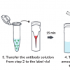 Overview of Mix-n-Stain Labeling Protocol