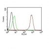 Monoclonal anti CD31 / PECAM 1 (C31.7)