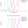 CellBrite® Cytoplasmic Membrane Dyes - Image 2
