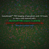 NucView® Caspase-3 Enzyme Substrates - Image 5
