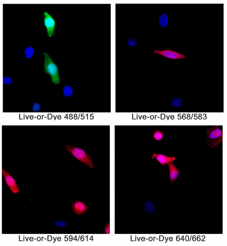 Live-or-Dye™ Fixable Viability Staining Kits - Image 2