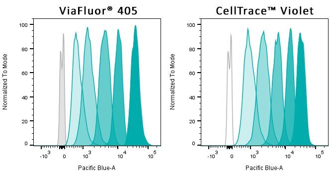 ViaFluor® SE Cell Proliferation Kits - Image 7