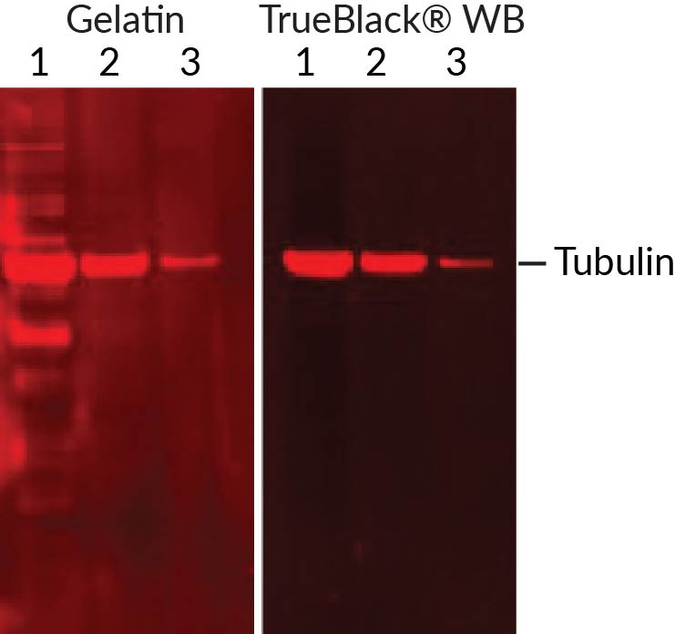 TrueBlackÂ® WB Blocking Buffer Kit - Image 2