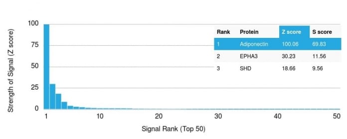 Analysis of Protein Array containing more than 19000 full-length human proteins using Adiponectin Mouse Monoclonal Antibody (ADPN/1370).  Z- and S- Score: The Z-score represents the strength of a signal that a monoclonal antibody (MAb) (in combination with a fluorescently-tagged anti-IgG secondary antibody) produces when binding to a particular protein on the HuProtTM array. Z-scores are described in units of standard deviations (SDâs) above the mean value of all signals generated on that array. If targets on HuProtTM are arranged in descending order of the Z-score the S-score is the difference (also in units of SDâs) between the Z-score. S-score therefore represents the relative target specificity of a MAb to its intended target.  A MAb is considered to specific to its intended target if the MAb has an S-score of at least 2.5. For example if a MAb binds to protein X with a Z-score of 43 and to protein Y with a Z-score of 14 then the S-score for the binding of that MAb to protein X is equal to 29.