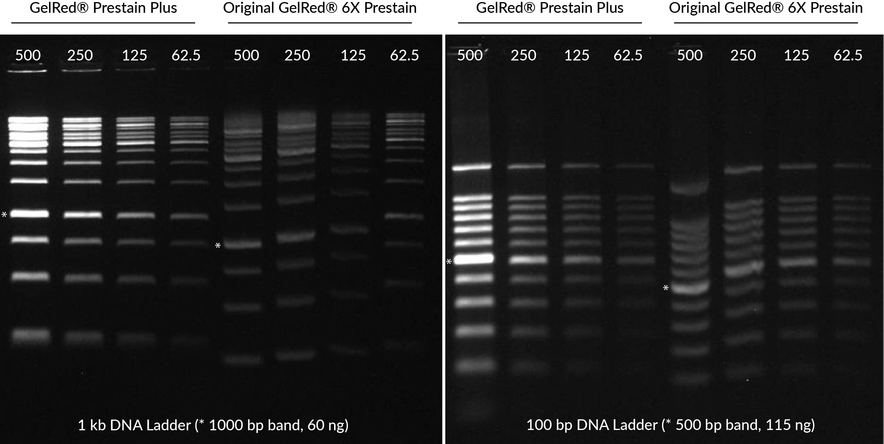 GelRedÂ® Prestain Plus 6X DNA Loading Dye<svg class="svgicon svg-earthfriendly"><use xlink:href="#svg-earthfriendly"></use></svg> - Image 3