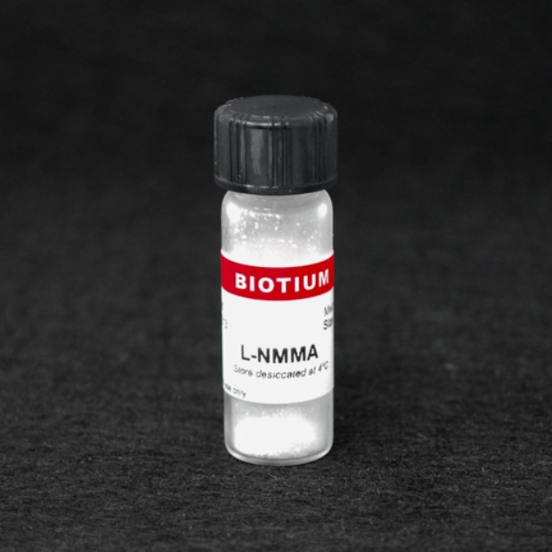 L-NMMA