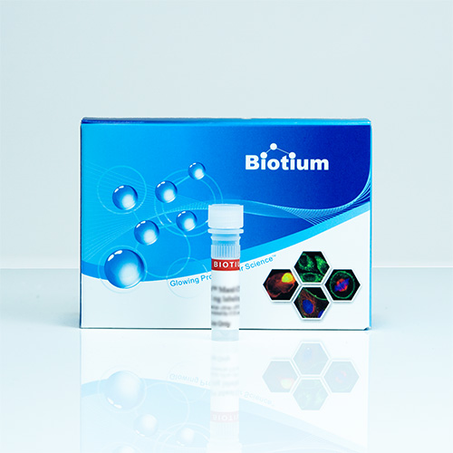 Sambucus Nigra Lectin (SNA, EBL) Conjugates