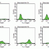 NucView® Caspase-3 Enzyme Substrates - Image 12