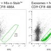 Mix-n-Stain™ CF® Dye Antibody Labeling Kits - Image 3