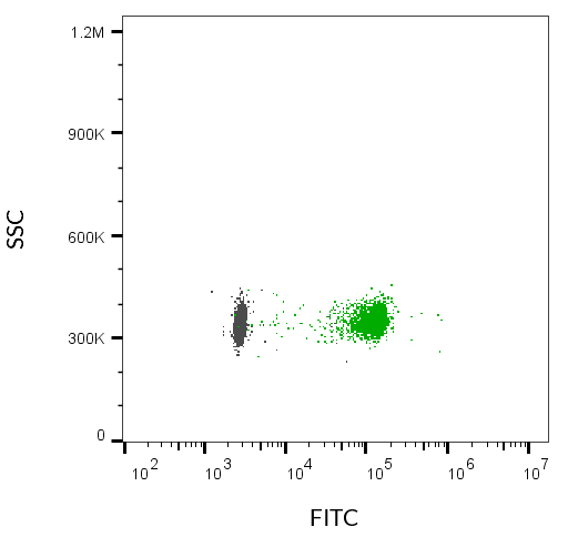 ExoBrite™ IgG1 Isotype Control Flow Antibody - Image 5