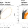 ExoBrite™ IgG1 Isotype Control Flow Antibody - Image 3