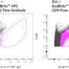 ExoBrite™ IgG1 Isotype Control Flow Antibody - Image 4
