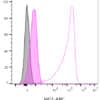 Isotype Control, Monoclonal Mouse IgG1 Kappa (IGG1/1331) - Image 6