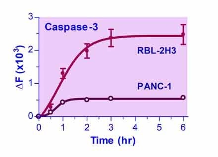 Caspase-3 Assay Kit