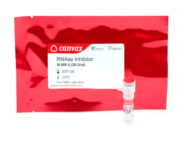 Canvax RNAse Inhibitor 10,000 U (20 U/µL) for molecular biology research